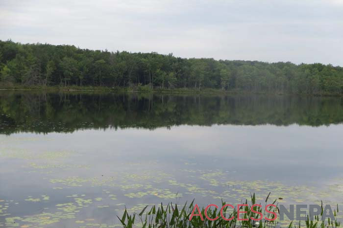 An overview of Lake Lacawac