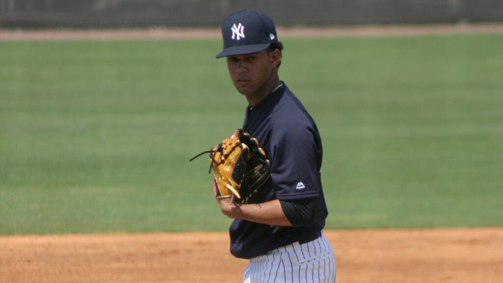Yankees pitching prospect Deivi Garcia