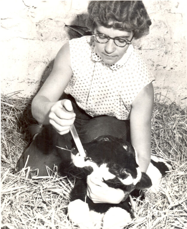 woman with calf