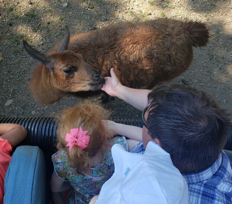 Family road trip: Lake Tobias Wildlife Park