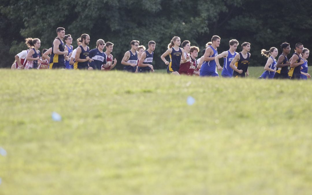 2019 District 2 cross-country preview