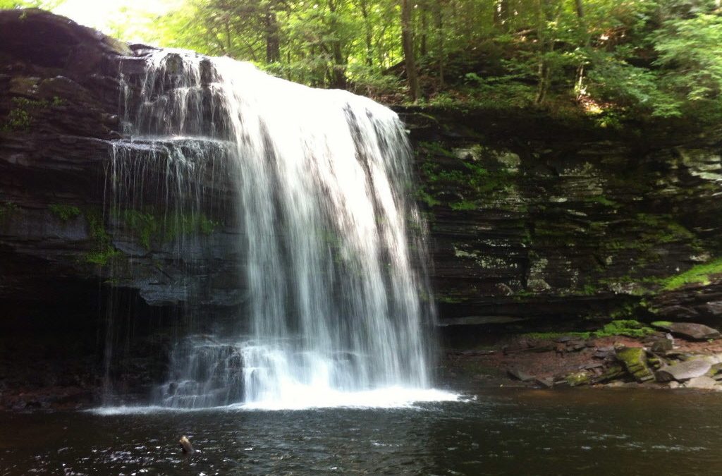 Ricketts Glen State Park plans reopenings