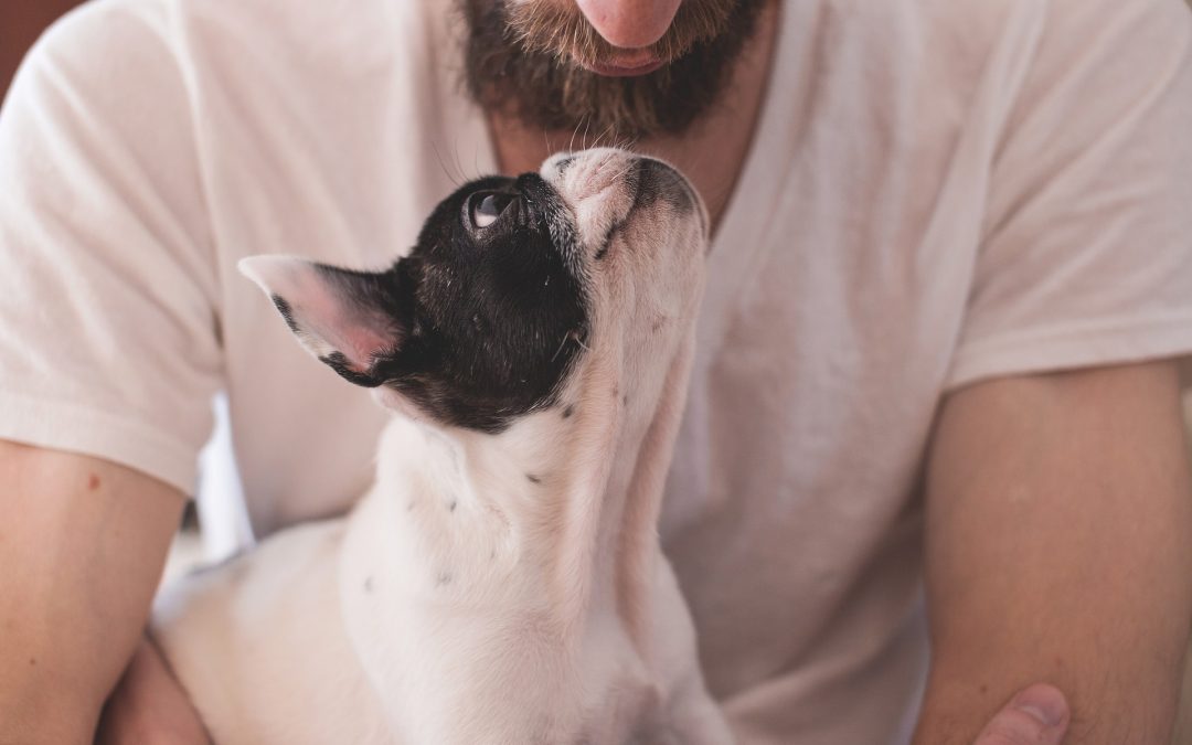 Eight ways pets can relieve our stress