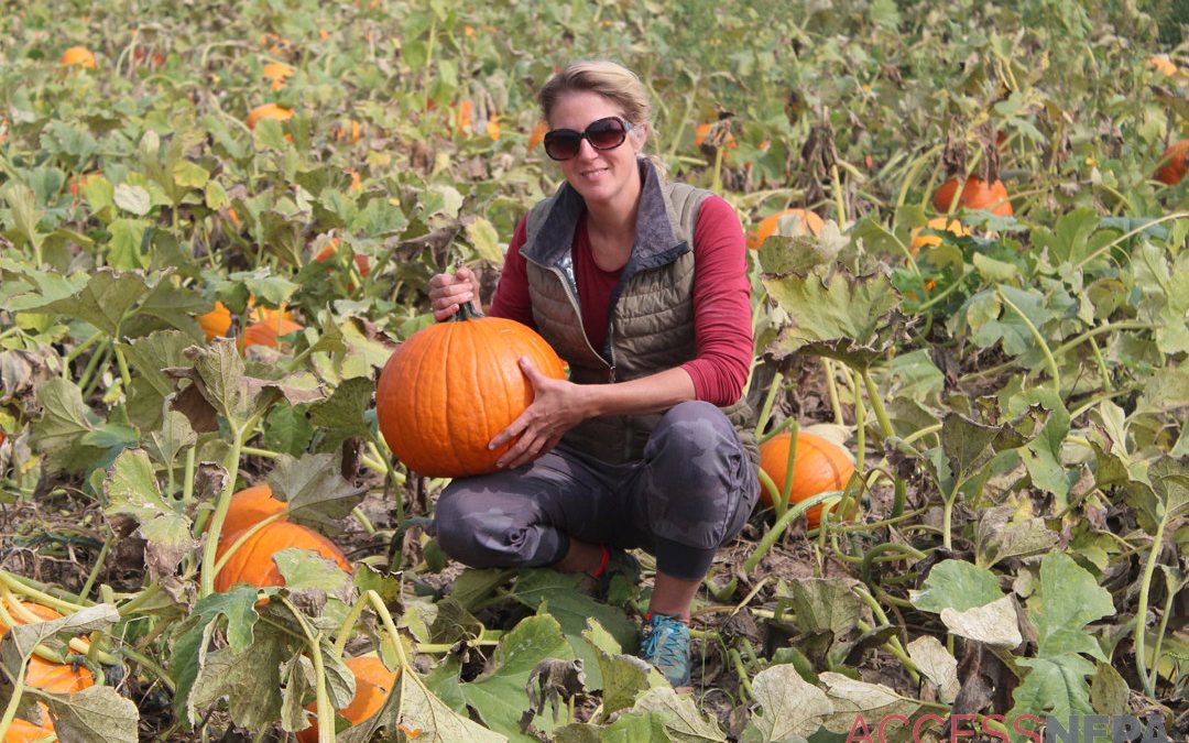 Brown Hill Farms open for fall