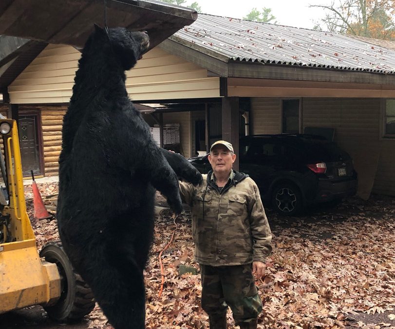 Buck Mountain hunter takes 544-pound bear
