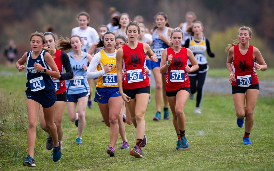 PIAA CROSS COUNTRY CHAMPIONSHIPS PREVIEW CAPSULES