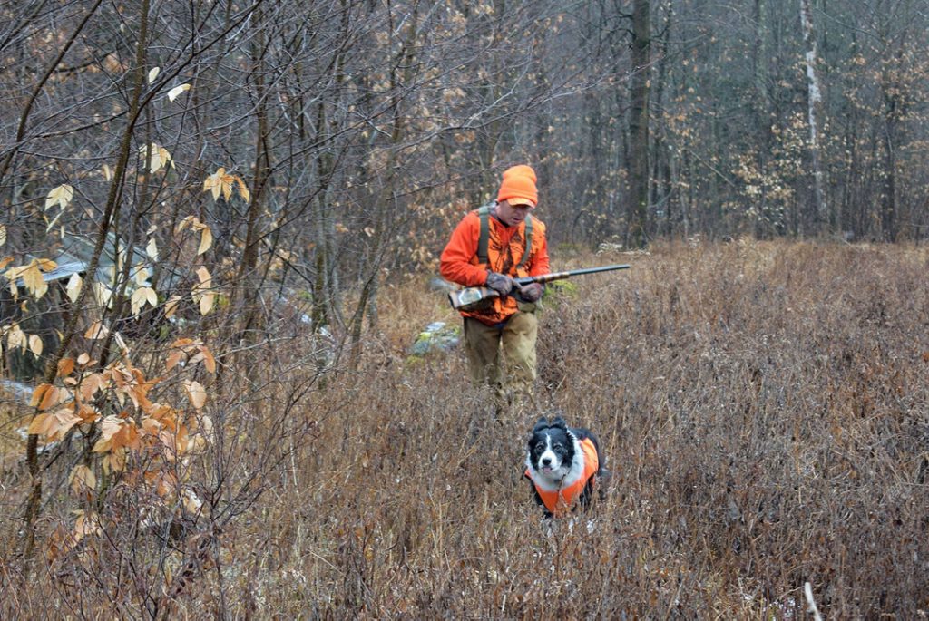 Pursuing snowshoe hares a unique holiday season challenge