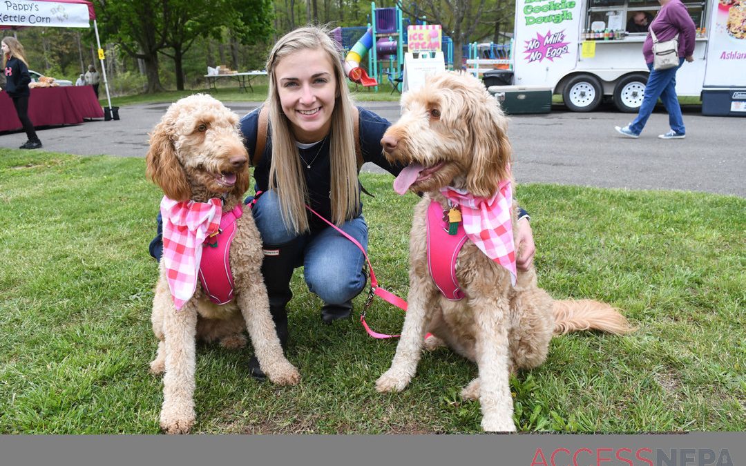 Out&About: Valley View Park Pet Carnival