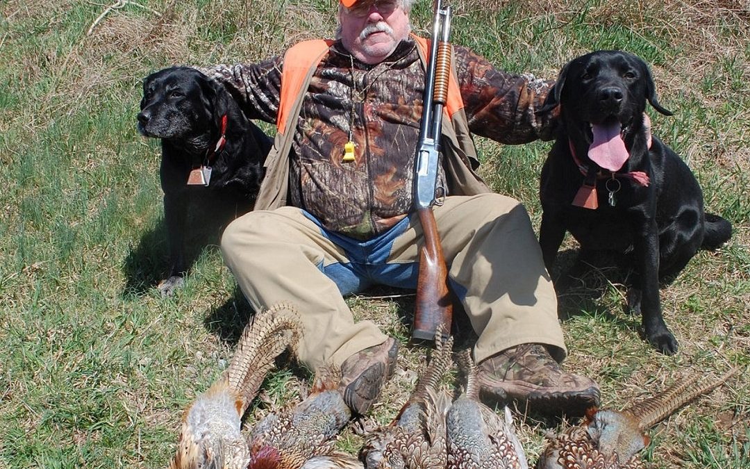 Old dog makes first hunt with ‘new’ gun one to remember