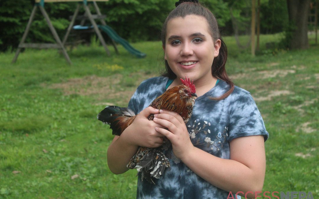 Raising chickens provides life lessons