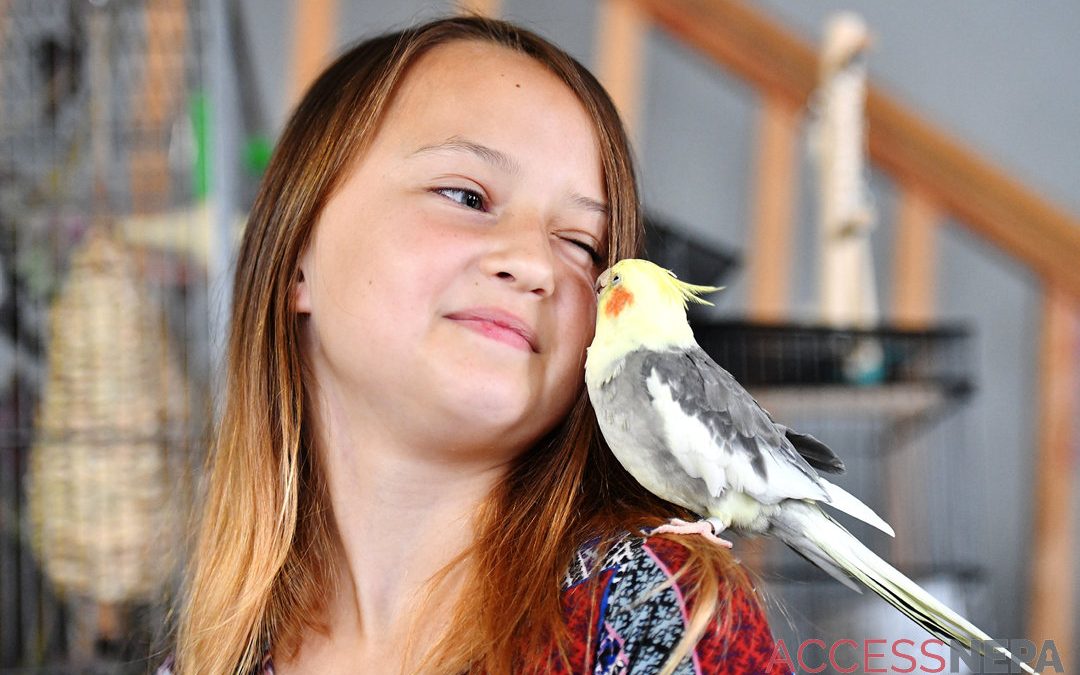Girl raising money for new bird rescue, family home