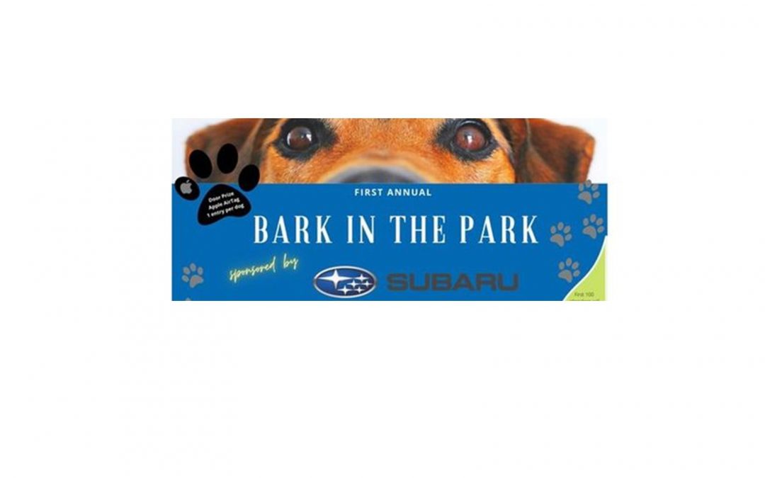 Bark in the Park Celebrates Your Furry Best Friend at Locust Lake State Park